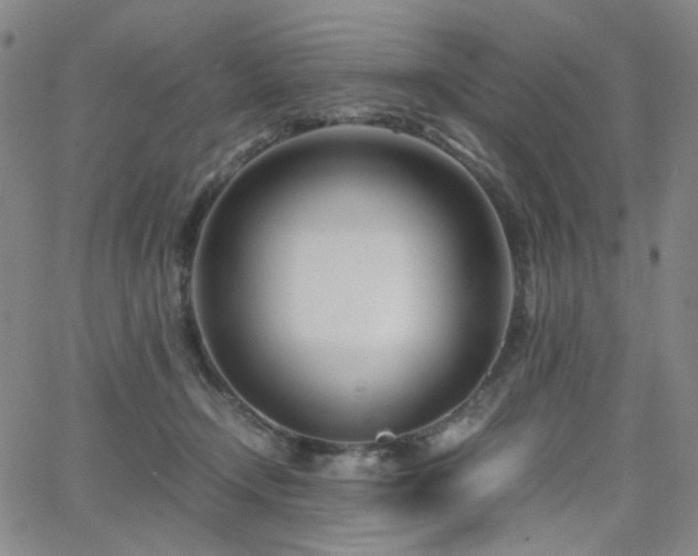 X0000063520366200601201439