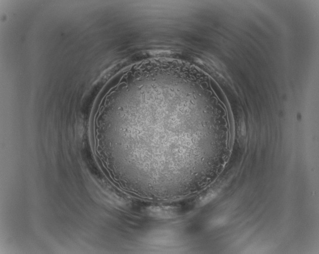 X0000063520367200601201439