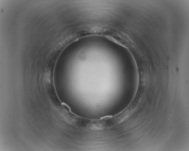 X0000063520368200601201439