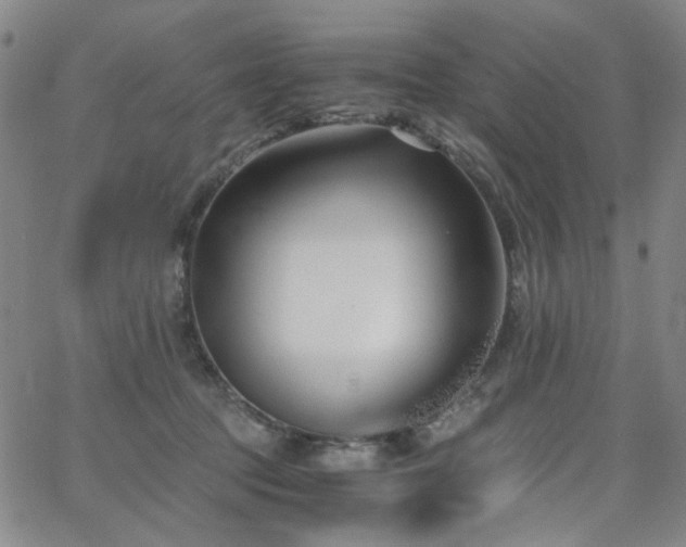 X0000063520369200601201439