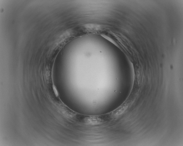 X0000063520372200601201439