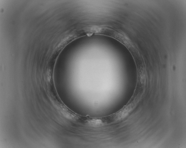 X0000063520374200601201439