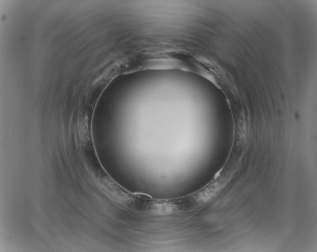 X0000063520376200601201439