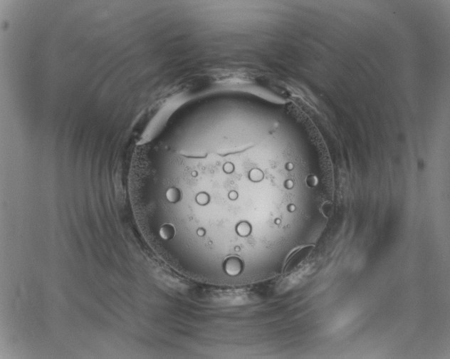 X0000063520377200601201439