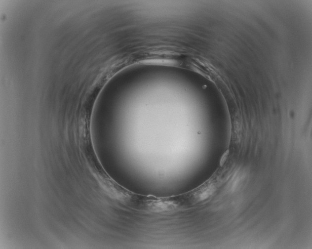 X0000063520379200601201439