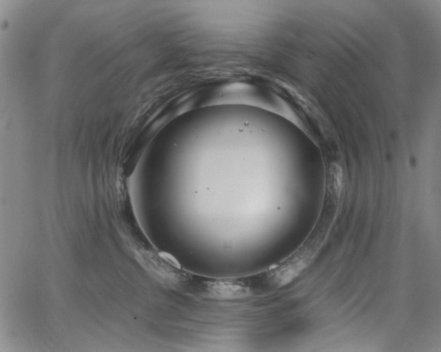 X0000063520380200601201439