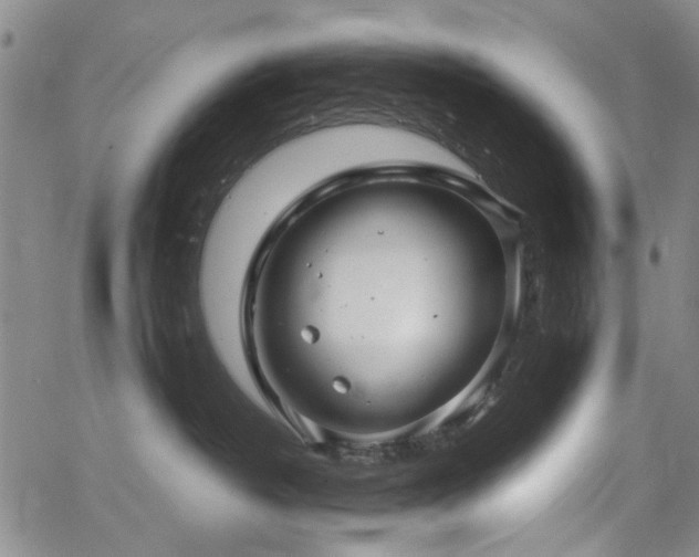 X0000063520382200601201439