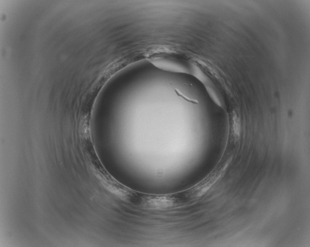 X0000063520383200601201439