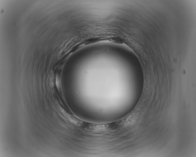 X0000063520384200601201439