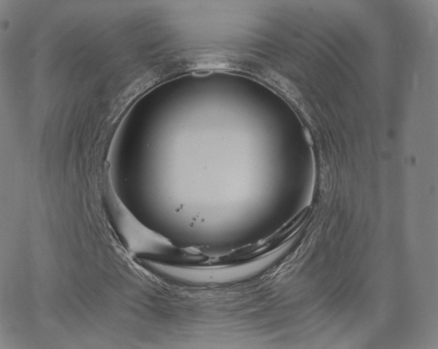 X0000063520385200601201438