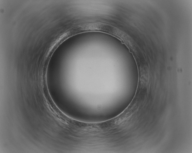 X0000063520386200601201438