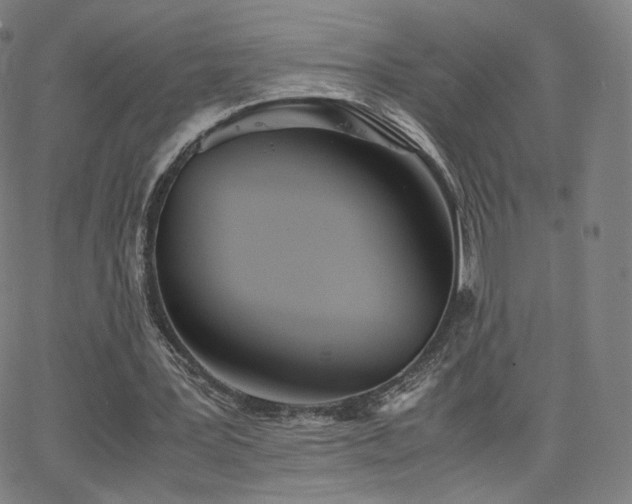 X0000063520387200601201438