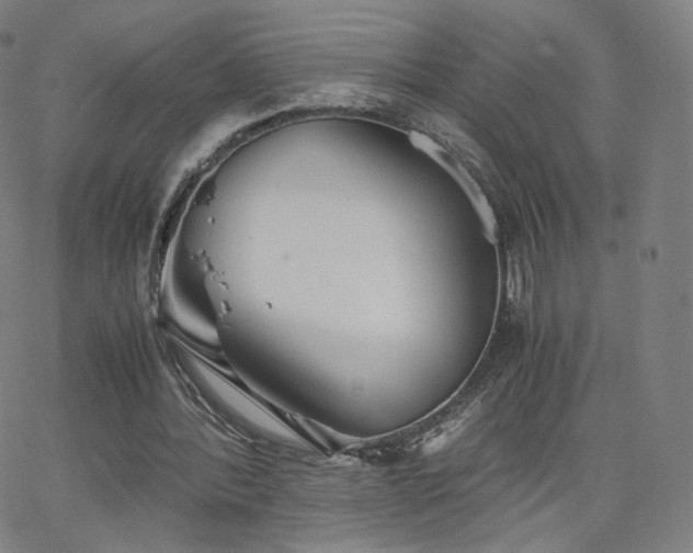 X0000063520388200601201438