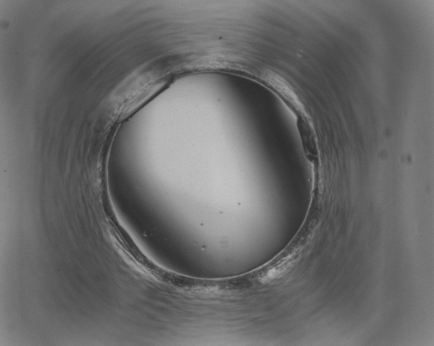 X0000063520389200601201438