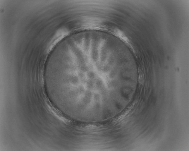 X0000063520390200601201438