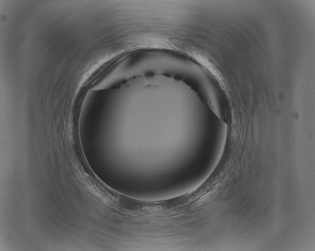 X0000063520391200601201438