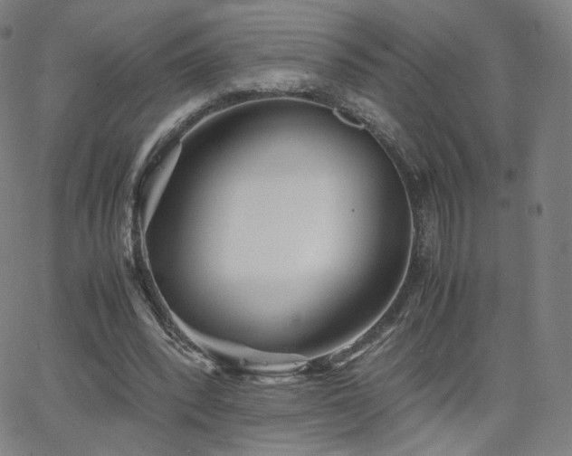 X0000063520392200601201438