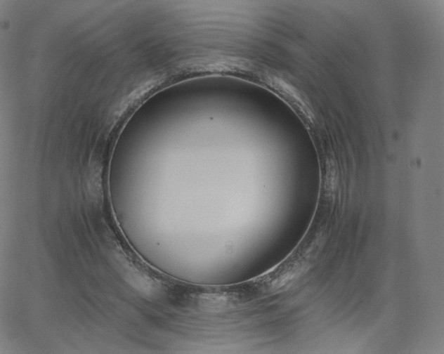 X0000063520394200601201438