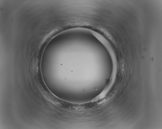 X0000063520395200601201438