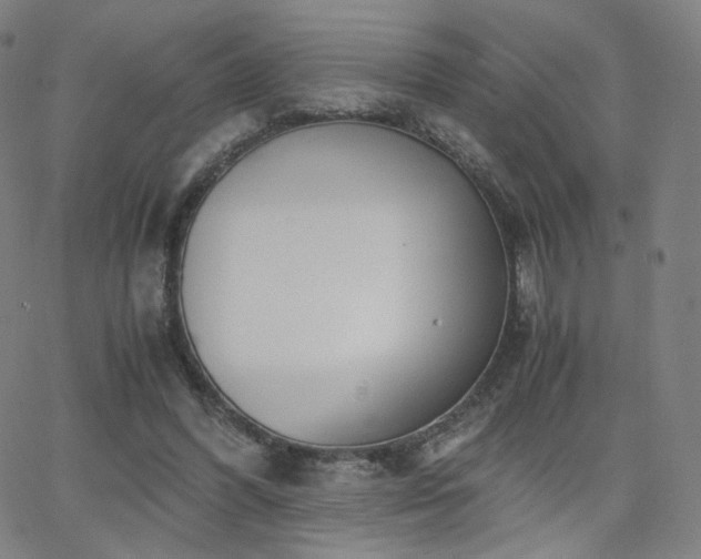 X0000063520396200601201438