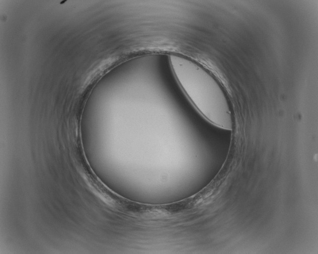 X0000063520397200601201438