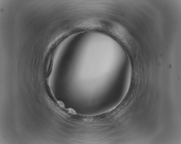 X0000063520399200601201438