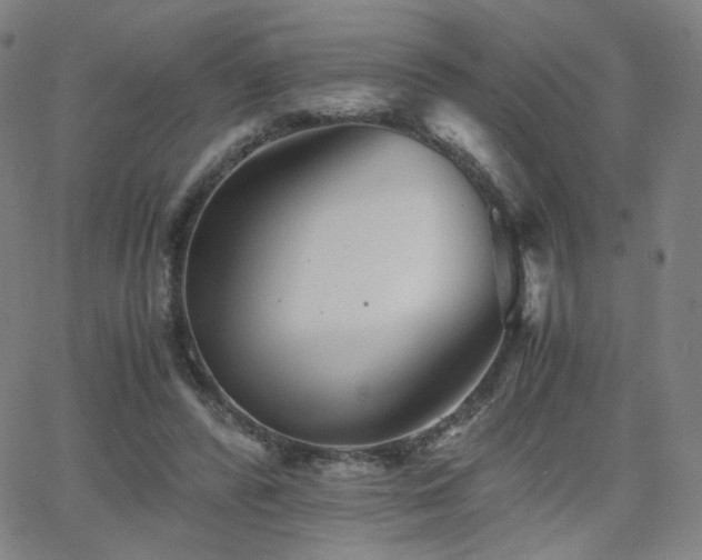 X0000063520400200601201438