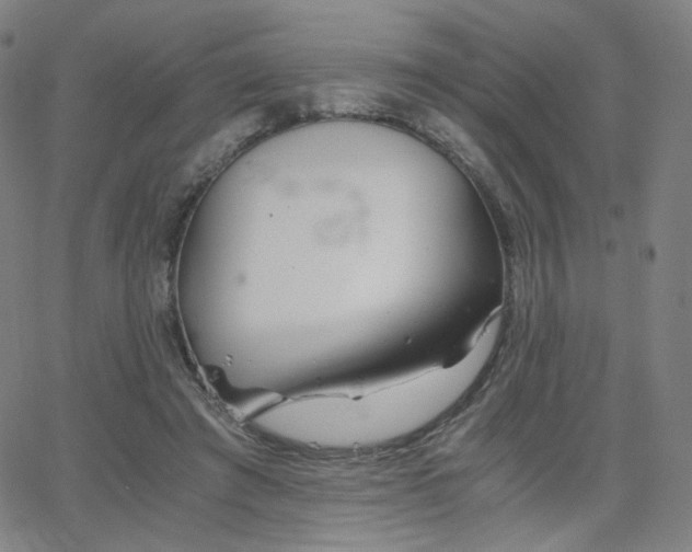 X0000063520401200601201438