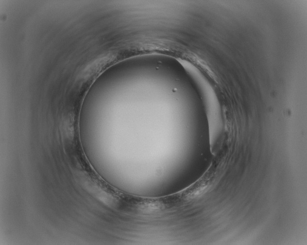 X0000063520402200601201438