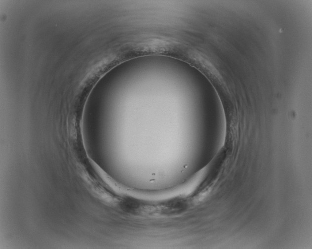 X0000063520403200601201438