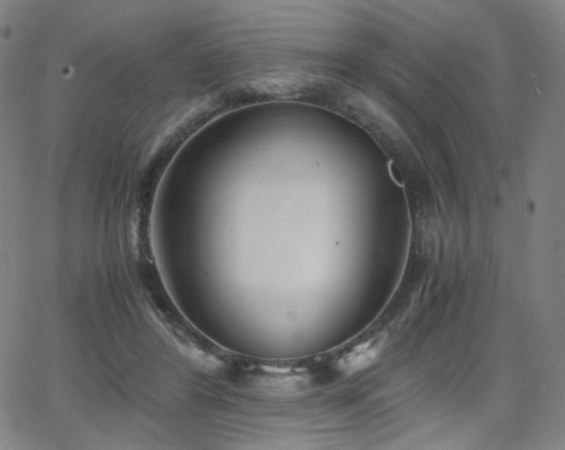 X0000063520404200601201438