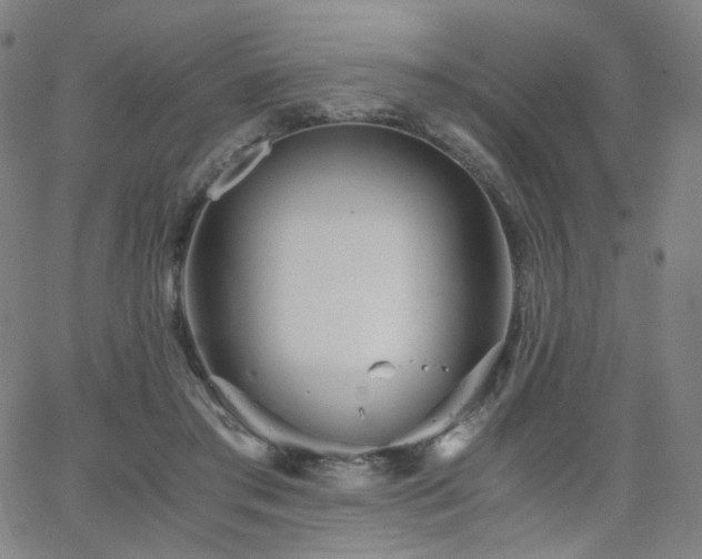 X0000063520405200601201438