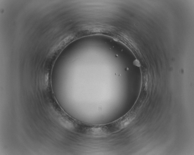 X0000063520406200601201438