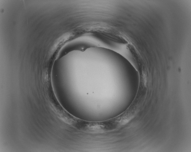 X0000063520407200601201438