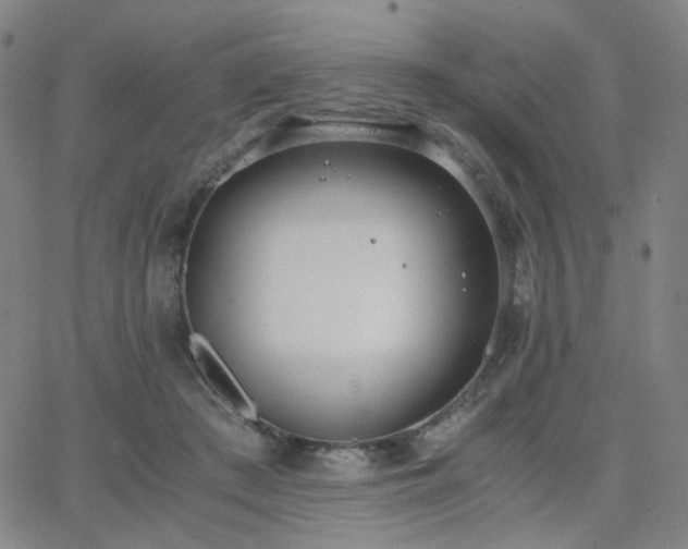 X0000063520409200601201438