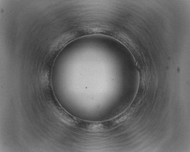 X0000063520410200601201438