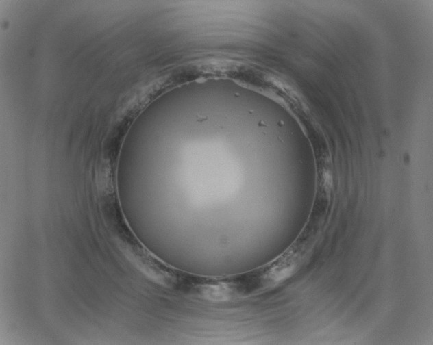 X0000063520411200601201438