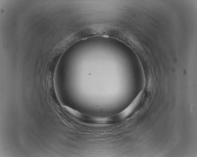 X0000063520413200601201438