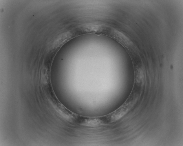 X0000063520414200601201438