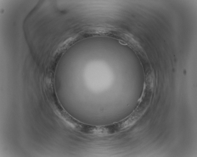 X0000063520415200601201438