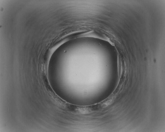 X0000063520417200601201438