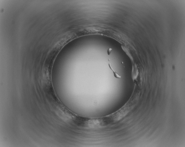 X0000063520418200601201438