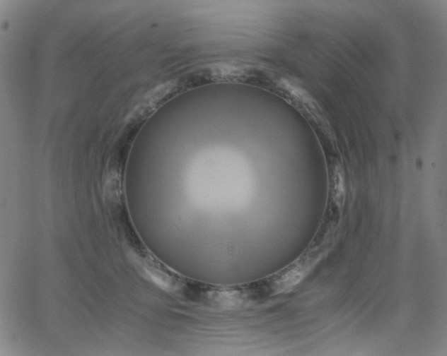 X0000063520419200601201438