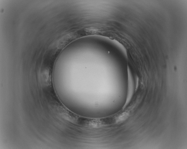 X0000063520420200601201438