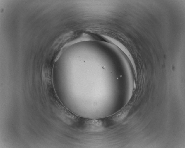 X0000063520421200601201438