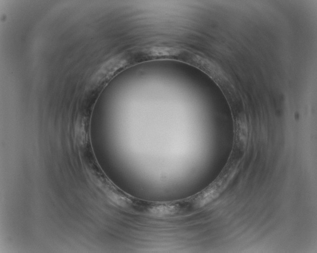 X0000063520422200601201438