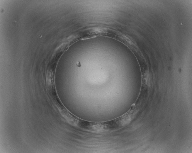 X0000063520423200601201438