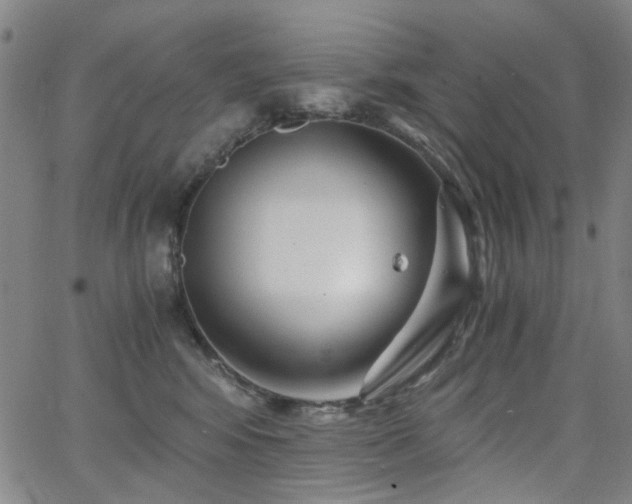 X0000063520424200601201438