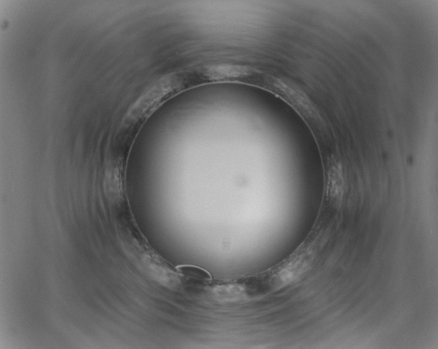 X0000063520426200601201438