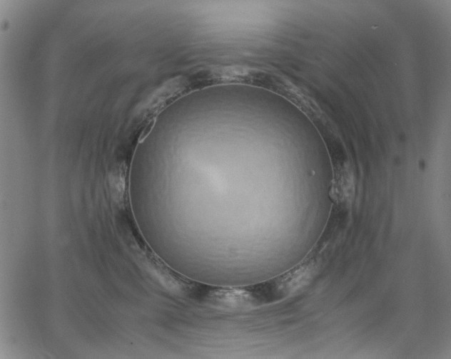 X0000063520427200601201438